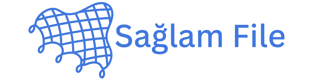 Sağlam File